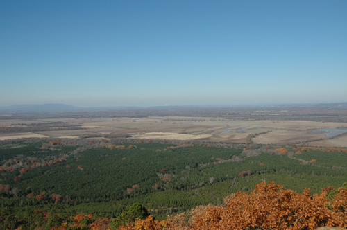 Carden Bottom from Petit Jean image